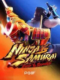 Ninja vs Samurai